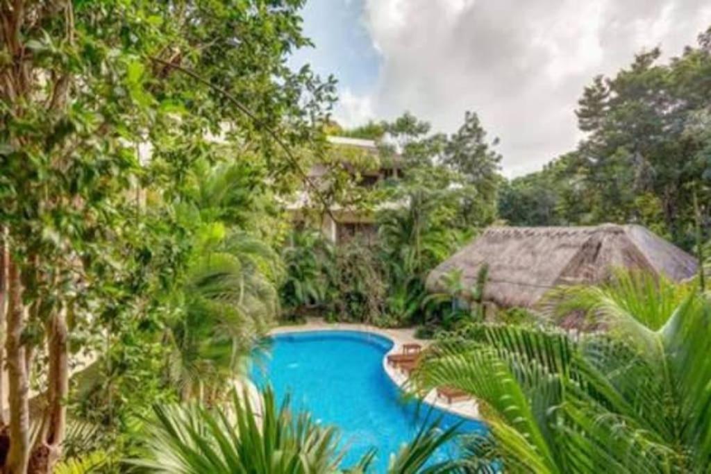 Condo Complex With An Alluring Pool & Tropical Vibes By Stella Rentals! Тулум Екстер'єр фото